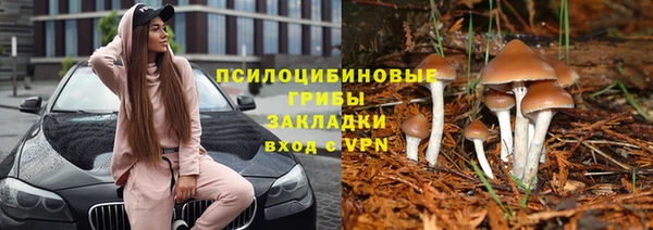 каннабис Новочеркасск