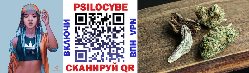 Купить где  Чудово  Галлюциногенные грибы MAGIC MUSHROOMS 